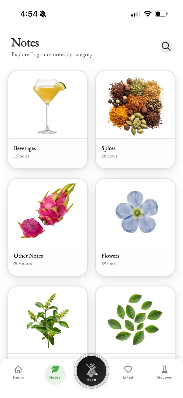 The Fragrance Families, Decoded: From Chypre to Gourmand