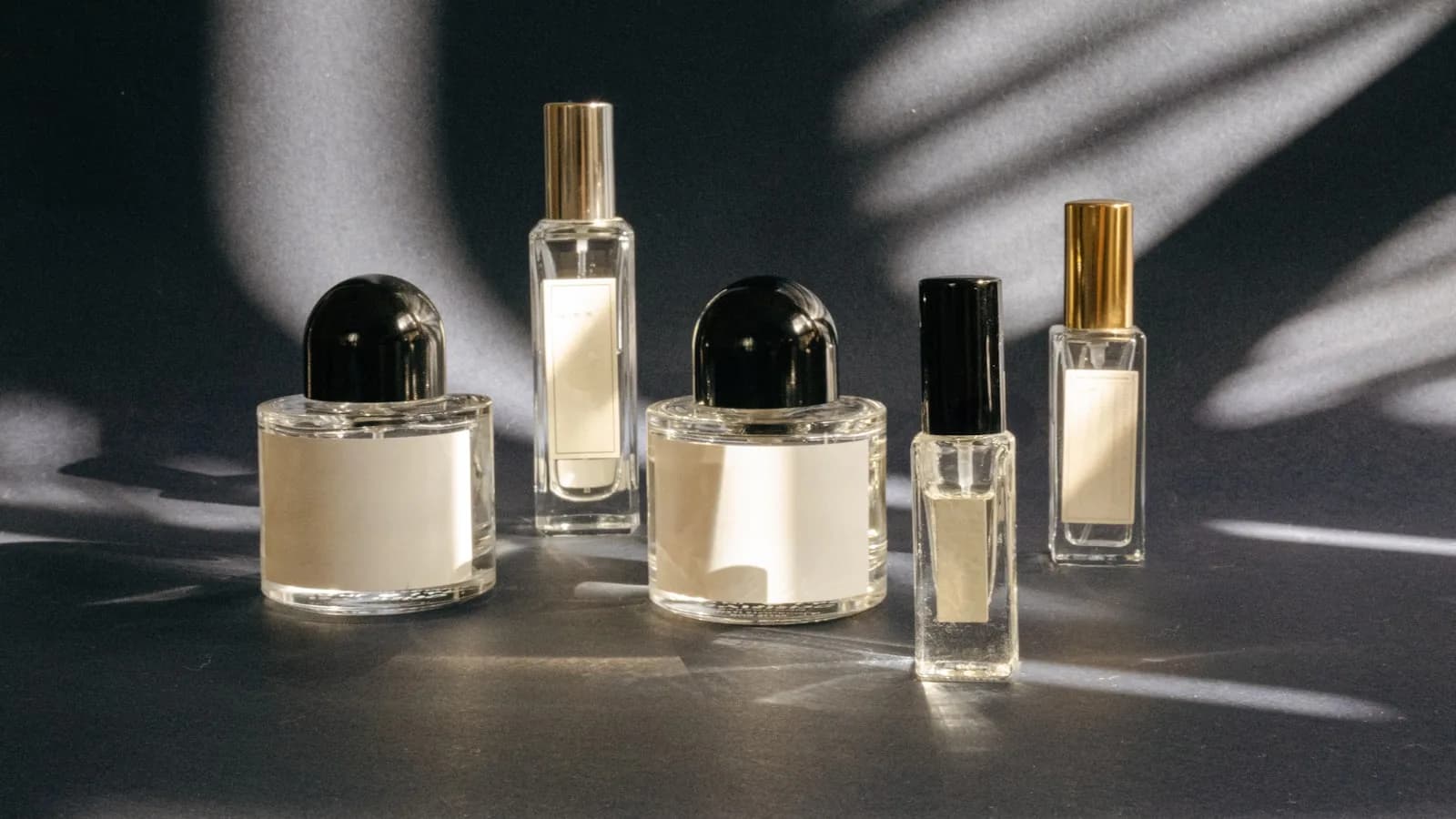 What Is an AI Perfume Advisor? A 2026 Field Guide