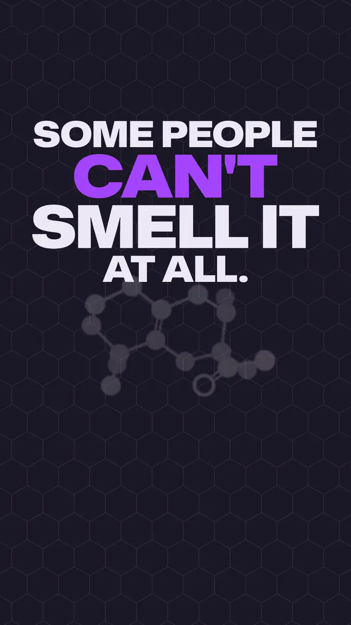 The words SOME PEOPLE CAN'T SMELL IT AT ALL above a faint drawn molecule on a dark hexagon grid