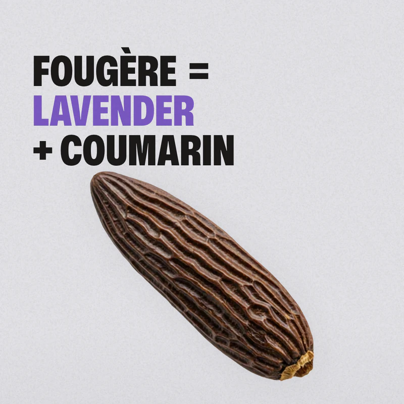 A frame from our Eau Facts video: the words FOUGÈRE = LAVENDER + COUMARIN above a dark, ridged tonka bean, on pale gray