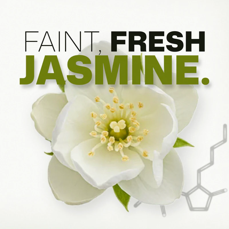 A frame from our Eau Facts video: the words FAINT, FRESH JASMINE. above a white flower, with the gray outline of the Hedione molecule at its side