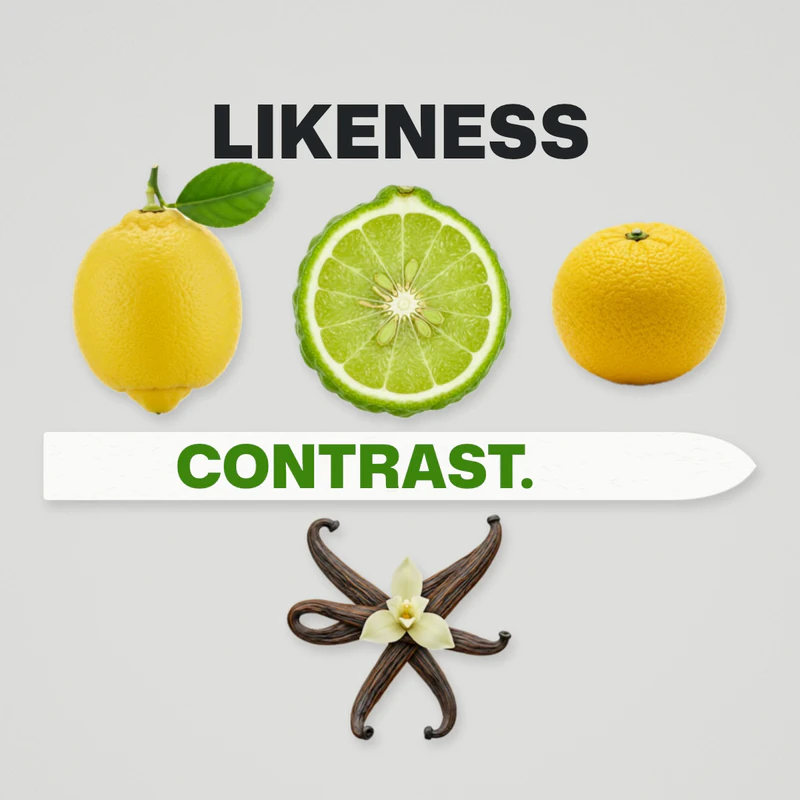 Our Eau Facts frame: a lemon, a halved bergamot and a yuzu under the word Likeness, a smelling strip reading Contrast, and vanilla pods with a flower below