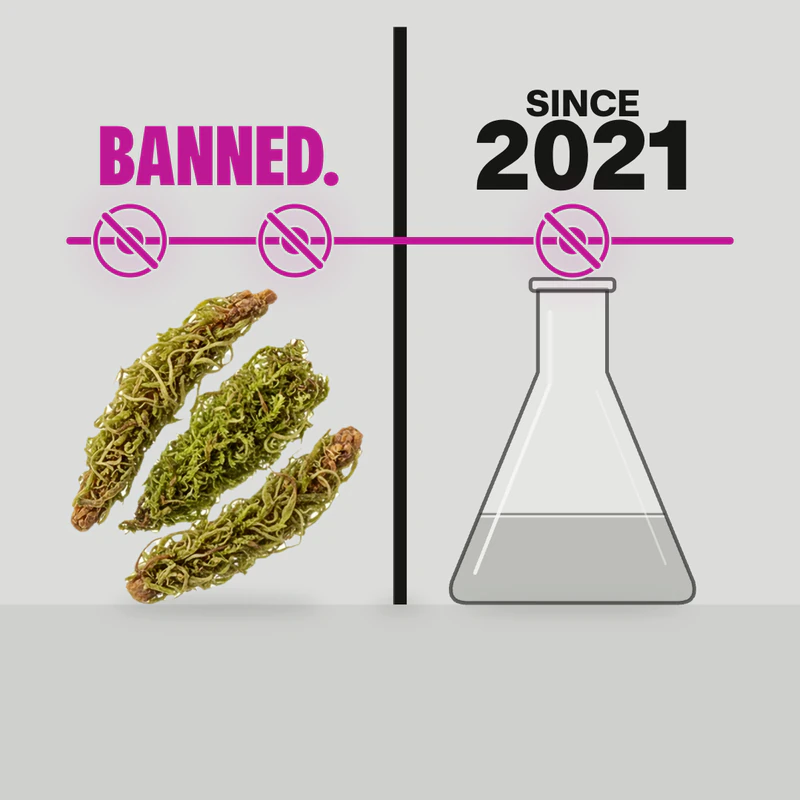 A frame from our Eau Facts video: a pink line crosses out three markers, two above our oak moss photo for atranol and chloroatranol and one above a drawn flask for HICC, under BANNED and SINCE 2021. Oak moss extract itself is still allowed.