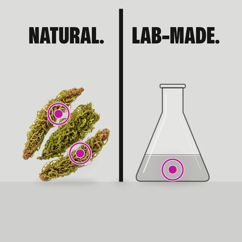 A frame from our Eau Facts video: two pink markers on our oak moss photo and one on a drawn glass flask stand for three allergens the EU banned together, two natural and one lab-made, under the words NATURAL and LAB-MADE