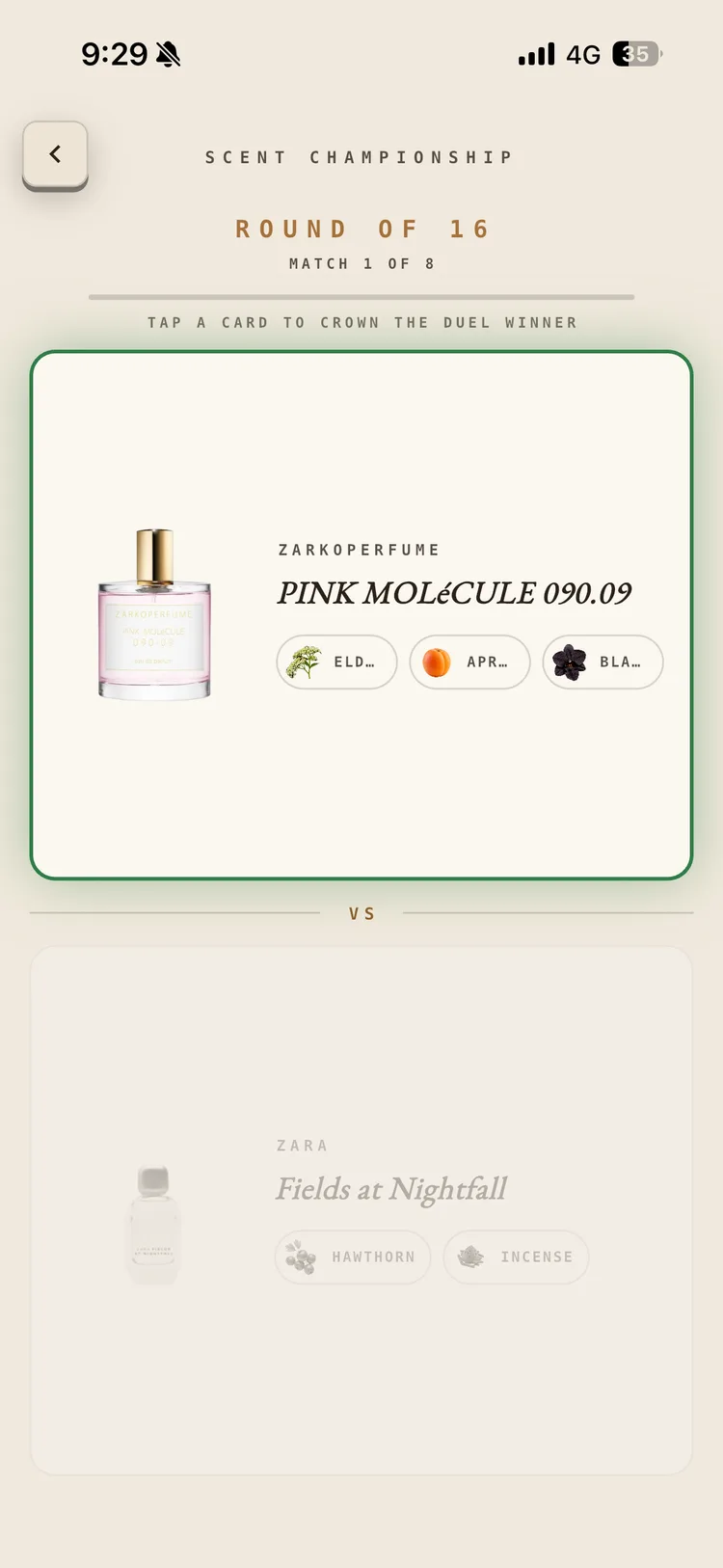 The duel bracket in the Fragnatique Scent Championship