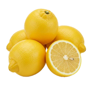 Amalfi Lemon