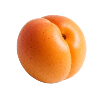 Appricot