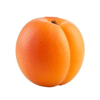 Apricot