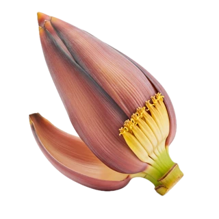 Banana Blossom