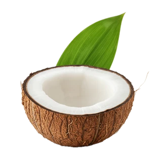 Coconut Blossom fragrance note