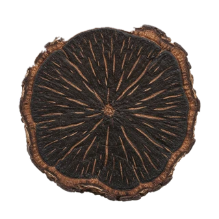 Ebony fragrance note