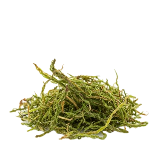 Evernyl fragrance note