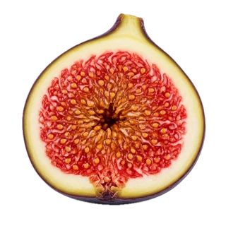 Fig