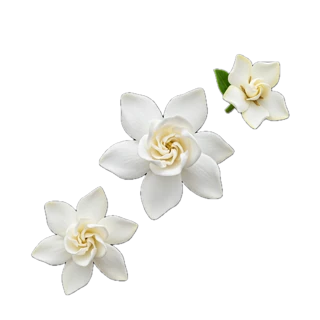 Gardenia fragrance note