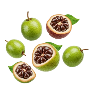 Guarana fragrance note