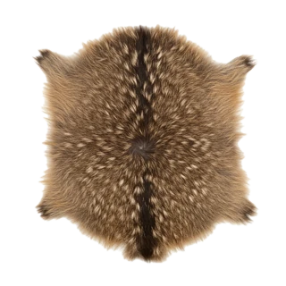 Musk