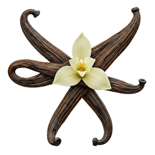 Vanilla